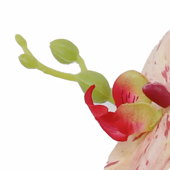 Tappetini da giardino per la casa, fasciatoi da giardino, fasciatoi impermeabili per vasi, tappetini per piante e fiori